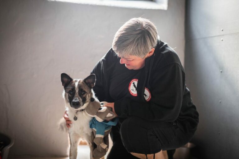 International Dyredag 4. oktober – sammen med Dyreværnet!