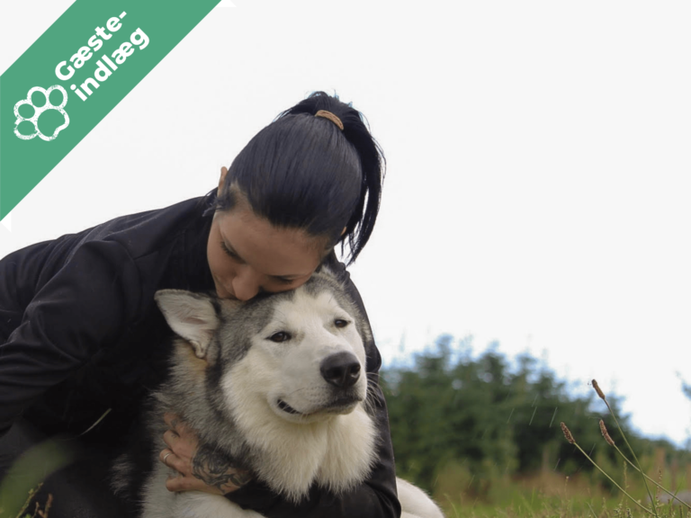 Kroniske smerter – sådan hjælper mine hunde mig!