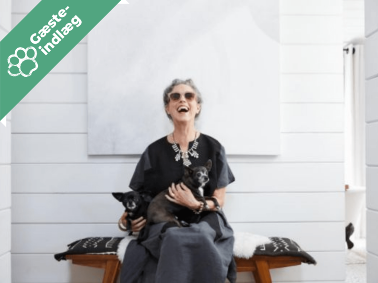 PeddiGo – din nye kæledyrspasser!