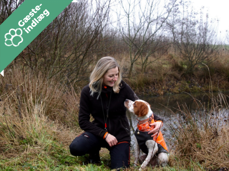 Jagthundetræning – Louise fortæller om at gå på jagt med Aston!