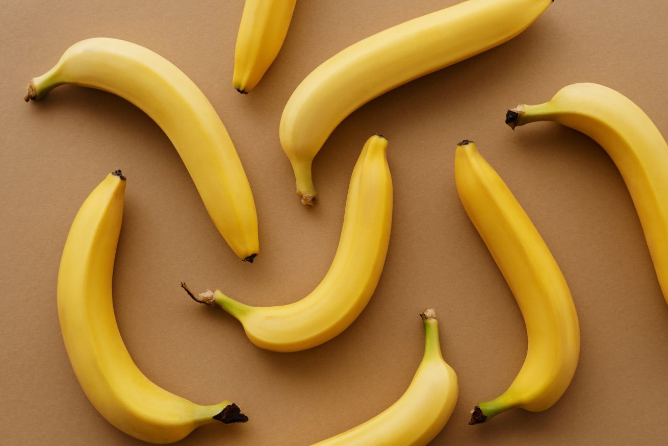 moronic ovn Personlig Kan hunde tåle bananer? Vi lærer dig, hvad din hund kan tåle →