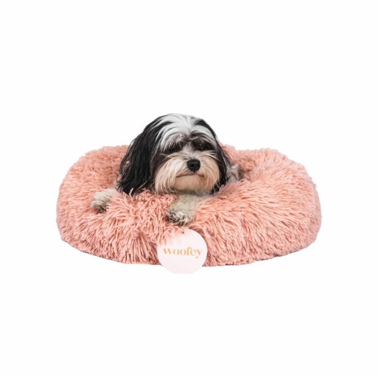 10 trin til at vælge den bedste hundeseng til din trofaste ven