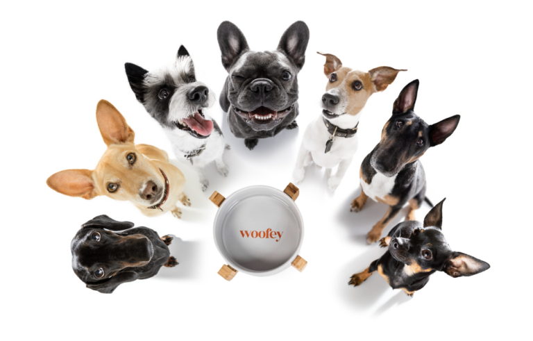 Find den Perfekte Hundeskål